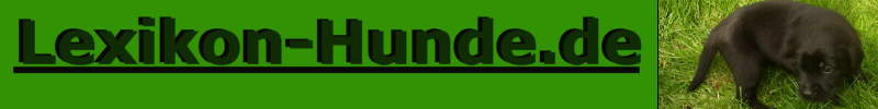 alle Hunderassen A-Z